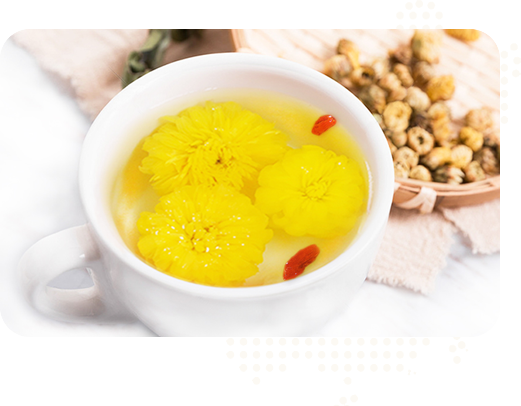 始建于2015年，實(shí)力雄厚