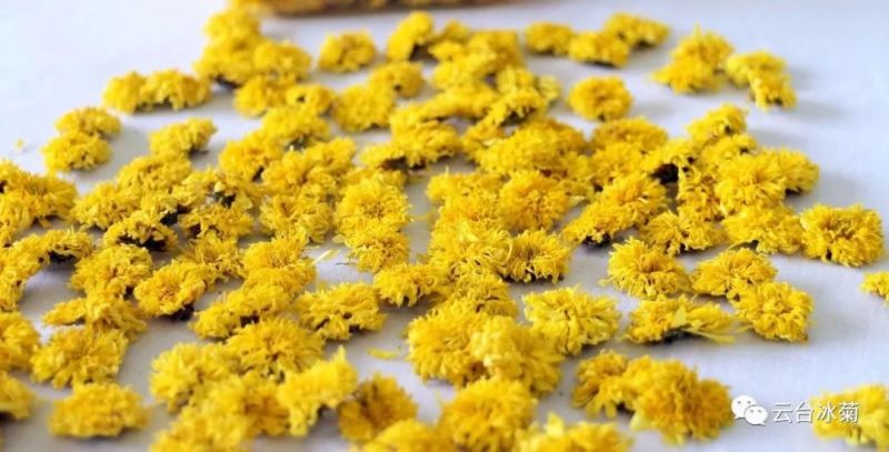 2018，種下希望，靜待花開！